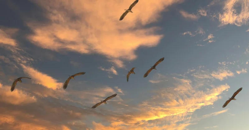 Migration HTTP vers HTTPS : les erreurs qui coûtent des positions