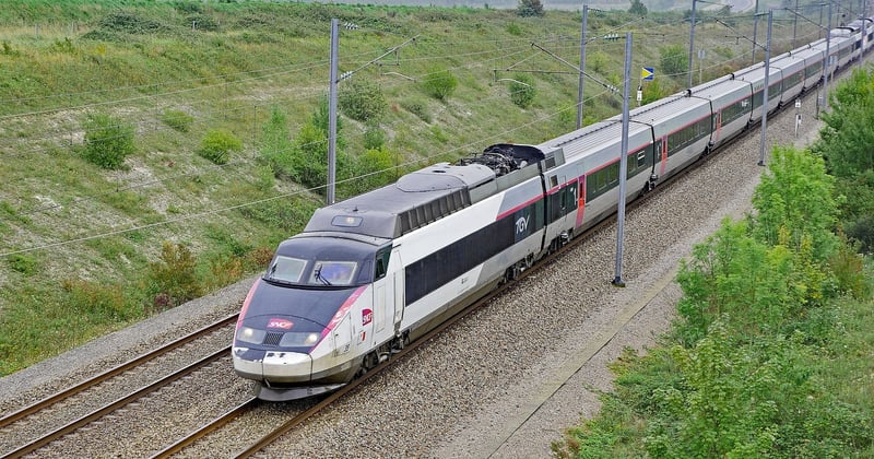 Longue traîne : capter un trafic qualifié avec des requêtes précises